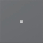 GIRA 349028 Wippe gerade Kontrollfenster 