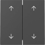 GIRA 3297005 Wippe 2fach Pfeile 