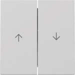 GIRA 3294015 Wippe 2fach Pfeil System 55 