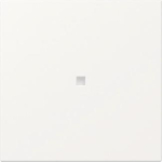 GIRA 349027 Wippe gerade Kontrollfenster 