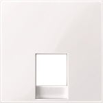 Merten Zentralplatte        MEG4211-0325 