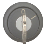 EATON M22S-WS Schlüsseltaste      216882 