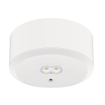 DOTLUX LED-Sicherheitsleuchte       5098 