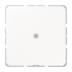 JG Leitungsauslass CS590AWW 