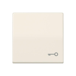 JG Wippe Tür                      AS591T 