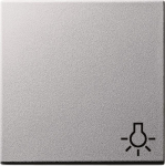 GIRA 028526 Wippe Symbol Licht System 55 