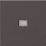 GIRA 029828 Wippe Kontrollfenster groß 