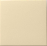 GIRA 091601 Wippe Tastschalter System 55 