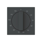 BJ Zentralscheibe           1771-45M-103 