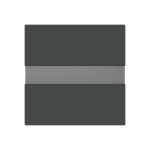 BJ Busch-Komfortschalter  flex 64765-45M 