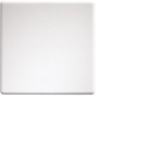 Eltako Wippe f.Funktaster u. W-F2T55E-pg 