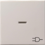 GIRA 020927 Wippe Kontrollfenster+Symbol 