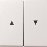 GIRA 0294112 Wippe 2fach Pfeil 