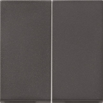 GIRA 091528 Wippe 2fach Tastschalter 