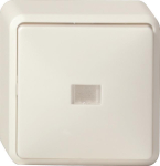 GIRA 011613 Wipp-Kontrollschalter 