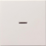 GIRA 029027 Wippe Kontrollfenster 