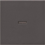 GIRA 029028 Wippe Kontrollfenster 