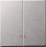 GIRA 063126 Wippe 2fach Kontrollfenster 