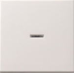 GIRA 091427 Wippe Tast-Kontroll 