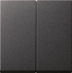 GIRA 029528 Wippe 2fach System 55 