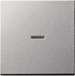 GIRA 029026 Wippe Kontrollfenster 