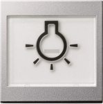 GIRA 021626 Wippe+BSF+Symbol Licht groß 