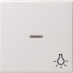 GIRA 067427 Wippe Kontrollfenster+Symbol 