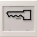 GIRA 021827 Wippe BSF+Symbol Tür groß 