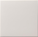 GIRA 091627 Wippe Tastschalter System 55 