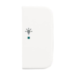 BJ Wippe 2-fach Symbol Licht 6231-22-214 