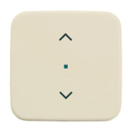 BJ Wippe 1-fach,Symbol Licht 6232-10-212 