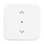 BJ Wippe 1-fach Symbol       6232-10-214 