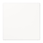 Jung USV-Modul alpinweiß  NRSLS0834USVWW 