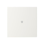 BJ Abdeckung als      LFBT/A.1.55.11-914 