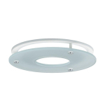 RIDI Dekorglasscheibe 195mm    DGS 195 W 