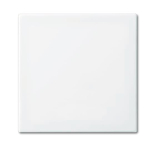 BJ Zentralscheibe Zettler   1790-590-914 