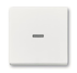 BJ Wippe studioweiß matt      1789 N-884 