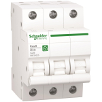 Schneider Leitungsschutz-       R9F24325 