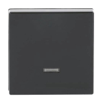 BJ solo Dimmer-Tastfläche    6543-81-101 