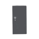 BJ Wippe rechts 2-fach,Symbol 6231-22-81 