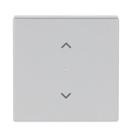 BJ Wippe 1fach Symbol         6232-10-83 