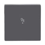 BJ Wippe 1-fach,Symbol Dimmer 6234-10-81 