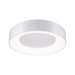 Paulmann WallCeiling HomeSpa Casca 78947 