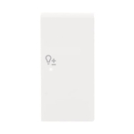 BJ Wippe 2fach Symbol Dimmer  6234-22-84 