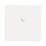 BJ Wippe 1-fach Symbol Dimmer 6234-10-84 