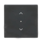 BJ Wippe 1-fach,Symbol        6232-10-81 