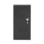 BJ Wippe/L 2f Licht schwarz  6231-21-885 