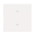 BJ Wippe 1-fach Symbol        6232-10-84 