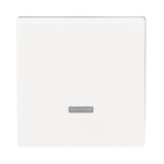 BJ Bedienelement Tastdimmer 6543-884-101 