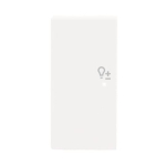 BJ Wippe links 2-fach Symbol  6234-21-84 